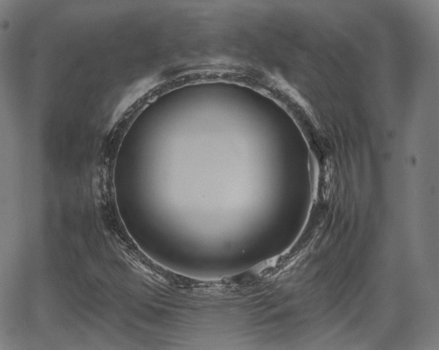 X0000064041352200601301138