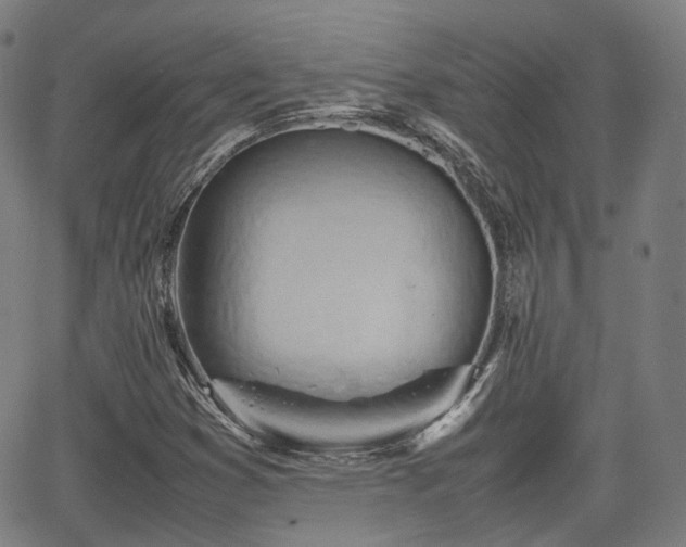 X0000064041353200601301138