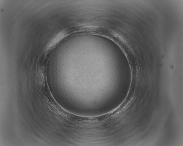 X0000064041354200601301138