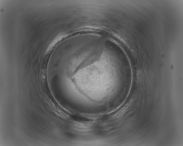 X0000064041355200601301138