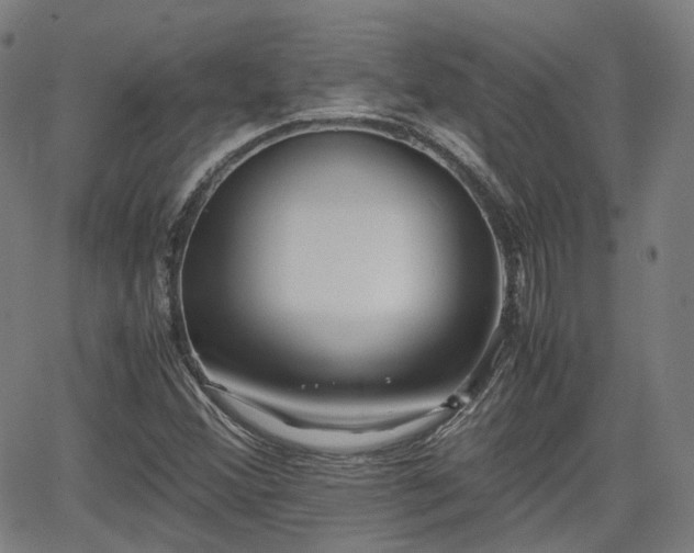 X0000064041356200601301138