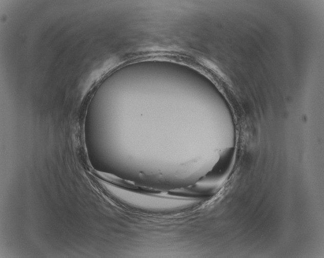 X0000064041357200601301138