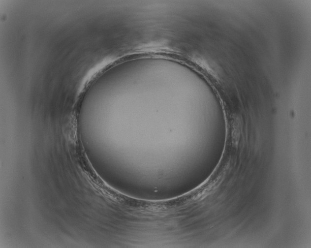 X0000064041358200601301138