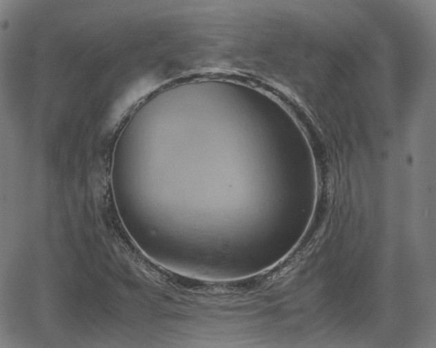 X0000064041359200601301138