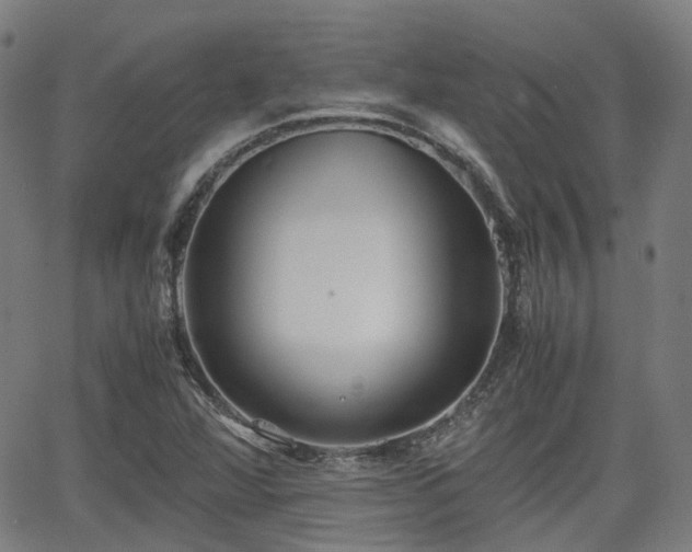 X0000064041360200601301138