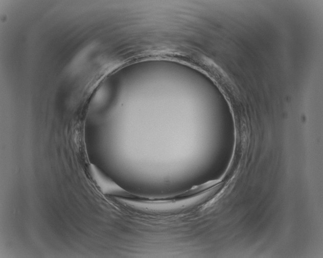 X0000064041361200601301138