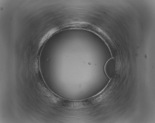 X0000064041362200601301138