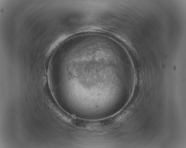 X0000064041363200601301138