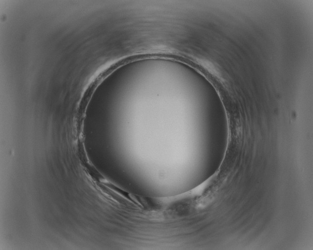 X0000064041364200601301138