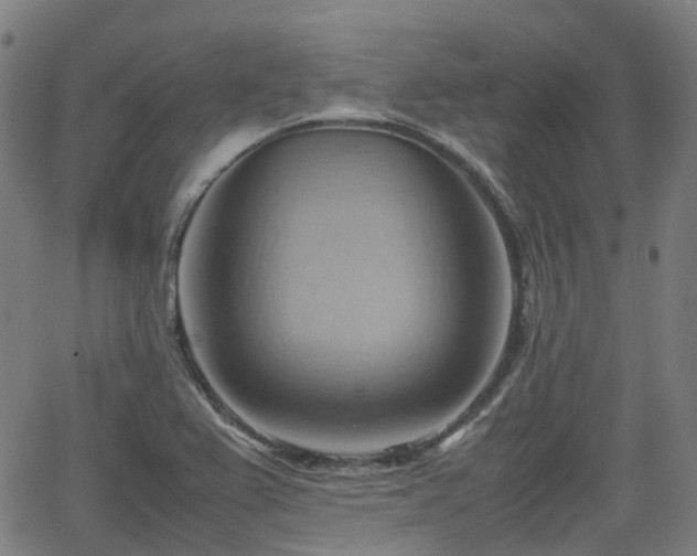 X0000064041367200601301138