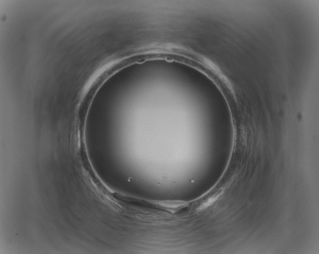 X0000064041368200601301138