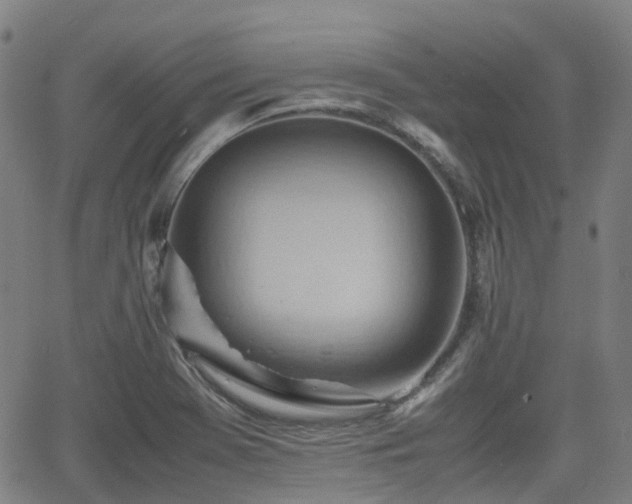 X0000064041369200601301138