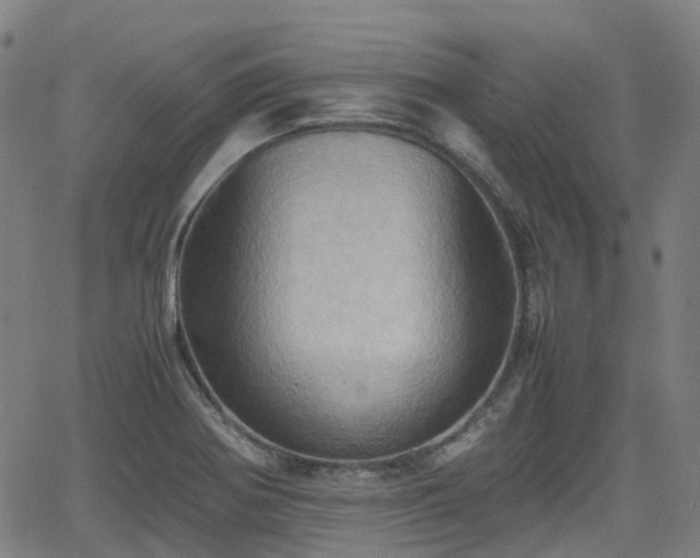 X0000064041370200601301138