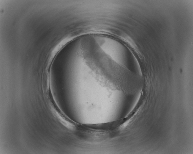 X0000064041371200601301138