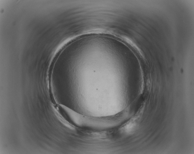 X0000064041372200601301138