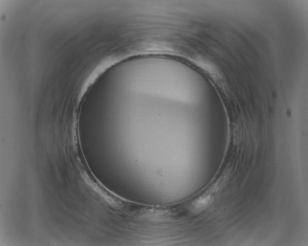 X0000064041374200601301138