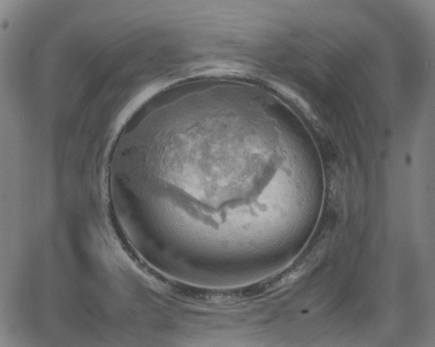 X0000064041375200601301138