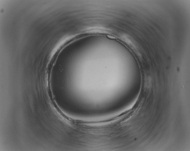 X0000064041376200601301138