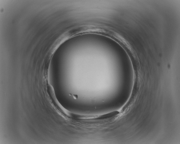 X0000064041377200601301138