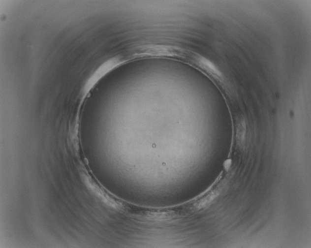 X0000064041378200601301138