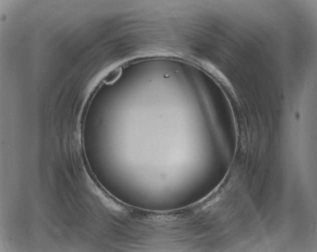 X0000064041380200601301138