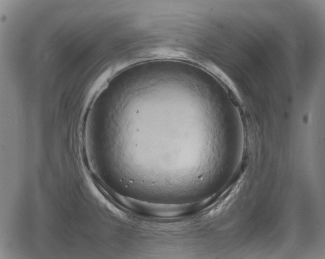 X0000064041381200601301138