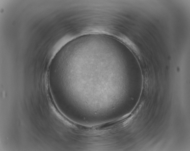 X0000064041382200601301138