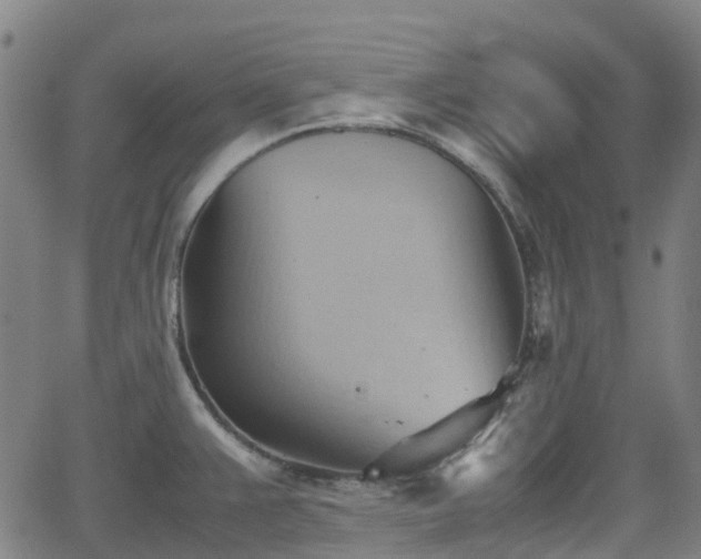 X0000064041383200601301138