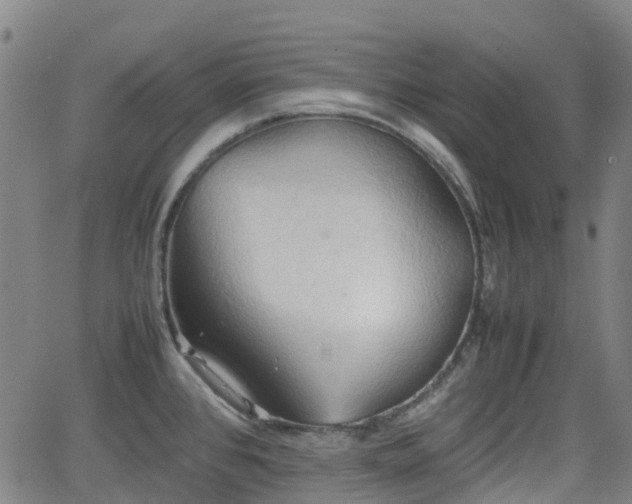 X0000064041384200601301138