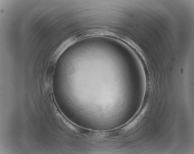 X0000064041385200601301138