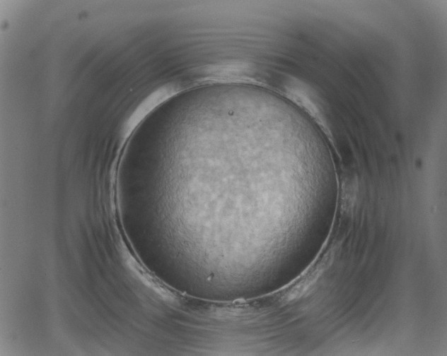 X0000064041386200601301137