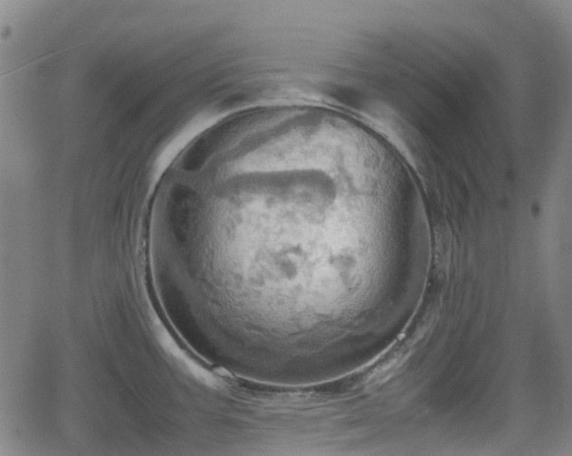 X0000064041387200601301137