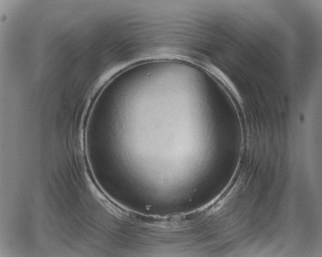 X0000064041388200601301137