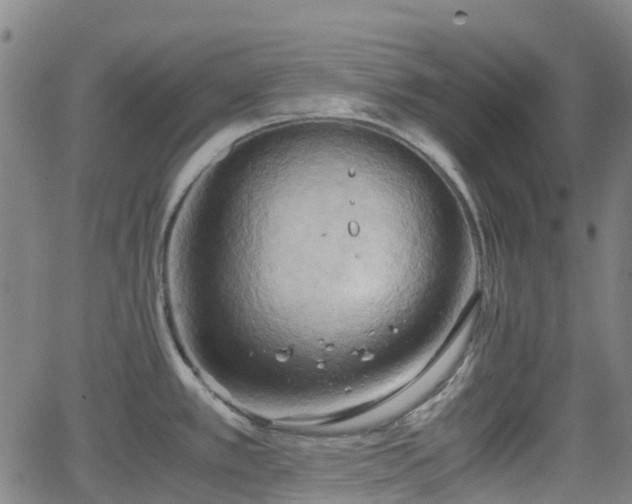 X0000064041389200601301137