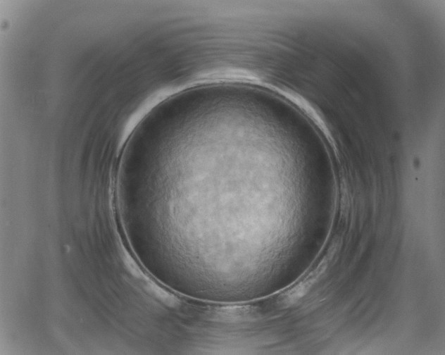 X0000064041390200601301137