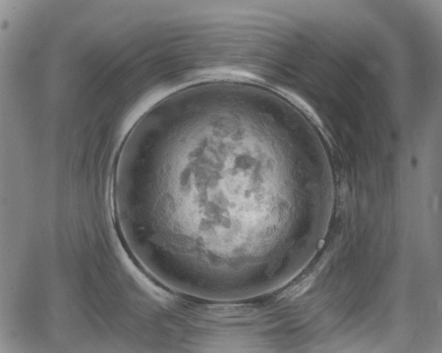 X0000064041391200601301137