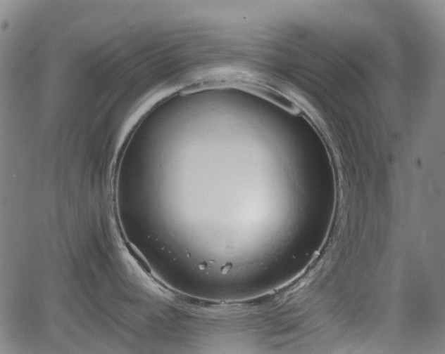 X0000064041392200601301137