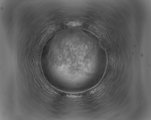 X0000064041393200601301137