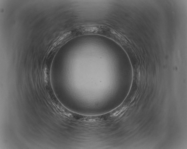 X0000064041394200601301137