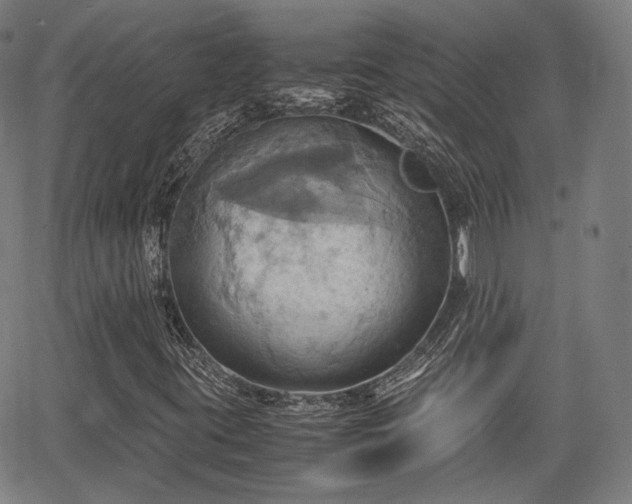 X0000064041395200601301137