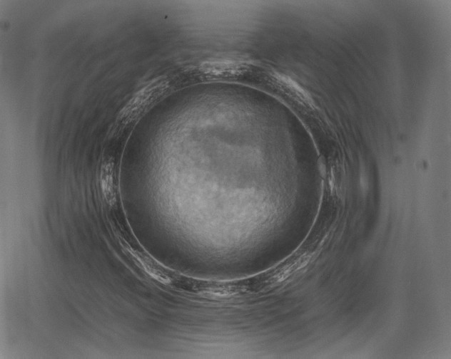 X0000064041396200601301137