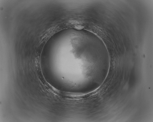 X0000064041397200601301137