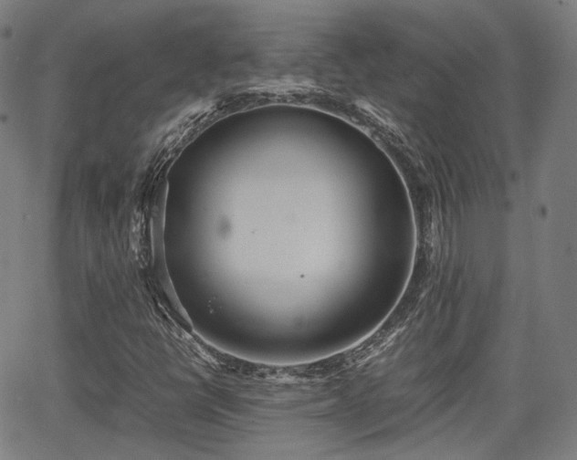 X0000064041398200601301137