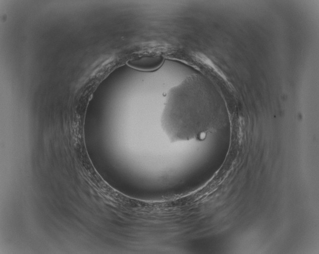 X0000064041399200601301137