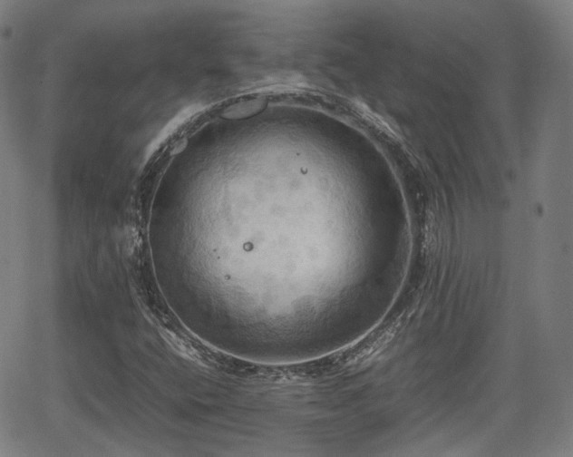 X0000064041400200601301137