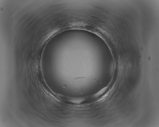 X0000064041401200601301137