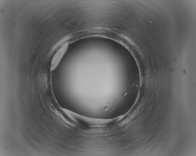 X0000064041402200601301137