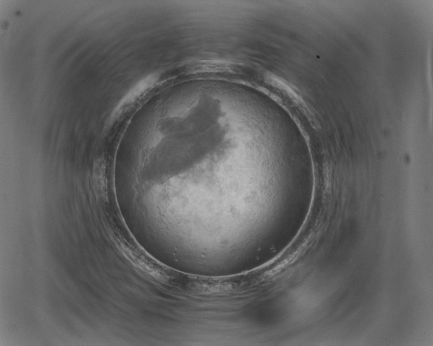 X0000064041403200601301137