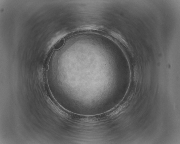 X0000064041404200601301137