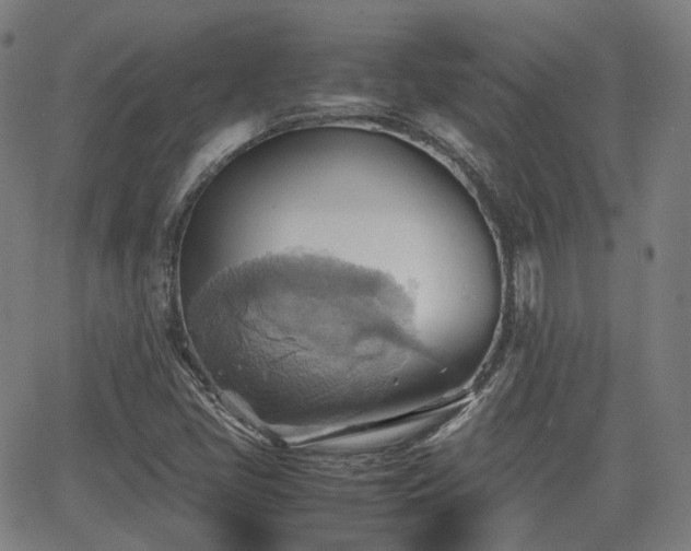 X0000064041405200601301137